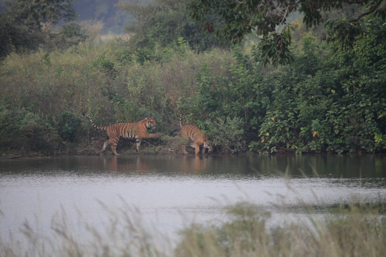 Nainital Sightseeing